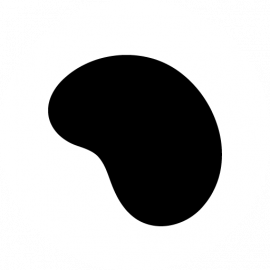 Bonzun Virtual Midwife logo